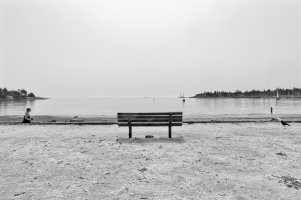 Apple Photos Document.jpg