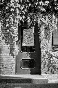 _DSF9386_DxOVP copy.jpg