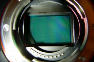 P2060065.JPG P2060065.JPG