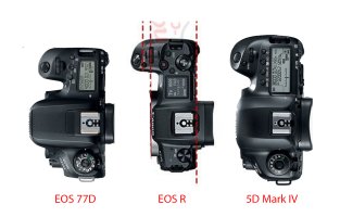 Canon Mirrorless SIZE.jpg