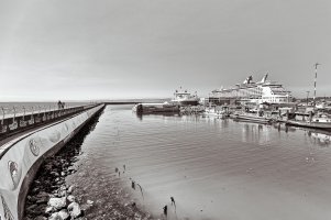 _MG_8169_DxO_DxOVP copy 2_Snapseed.jpg