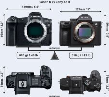 canonrsonya7iii 1100.jpg