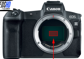 Screen Shot 2018-09-08 at 8.24.03 AM.png