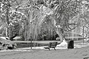 _36A2847 copy_DxO copy1.jpg