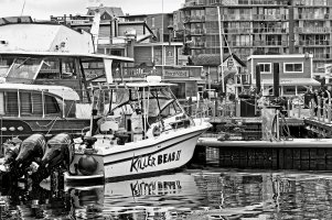 _36A3176 copy_DxO copy copy.jpg