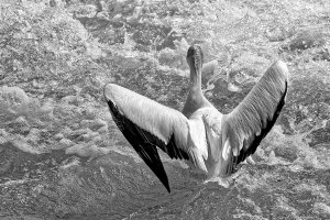 _36A8531 1_DxO copy.jpg