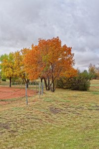_MG_8246_DxO.jpg