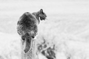 _MG_7828_DxO-Edit copy-Edit.jpg