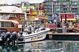 _36A3176 copy_DxO copy.jpg