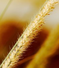 IMG_1967_DxO_2.jpg