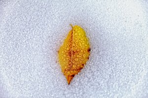 _MG_8286_DxO.jpg
