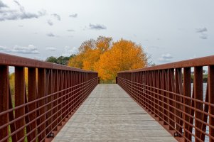_MG_8399_DxO.jpg