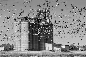 IMG_4797 copy-1_edited-2.jpg