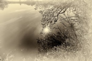 Sun reflection copy.jpg