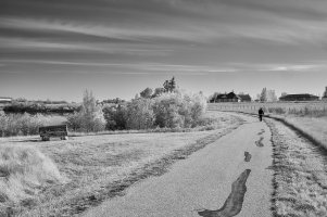 Walking trail copy.jpg