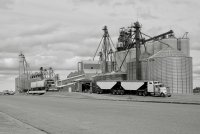 Grain trucks at inland grain terminal 2.jpg