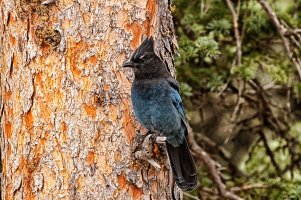 _MG_6966_DxO copy_DxO.jpg