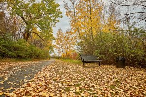 Reservoir 4 copy.jpg