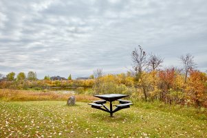 Reservoir 3 copy.jpg