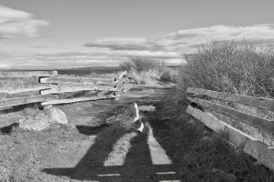 Fence and rocks by Pacific Ocean, Vancouver Island.jpg