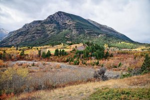 IMG_2714_DxO_DxO copy.jpg