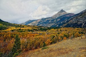 IMG_2713_DxO_DxO copy.jpg