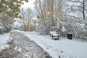 Stop on hiking trail.jpg