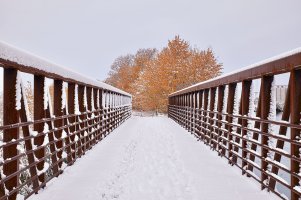 Footbridge.jpg