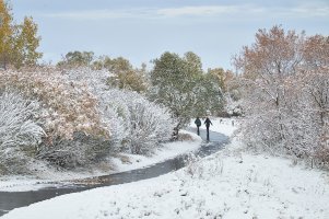 Walking trail.jpg