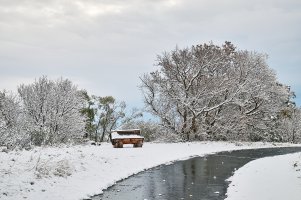 Log bench.jpg