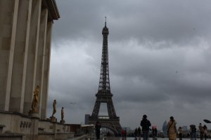 IMG_8254.JPG
