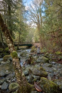 Near Sooke, Vancouver Island, February 2018.jpg