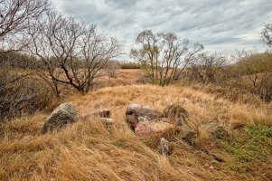 Verge of walking trail 2 copy.jpg