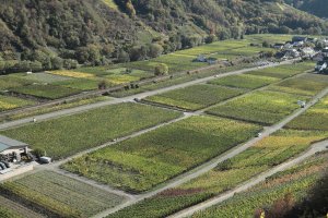 IMG_6090_ef-m_32_14_stm_C-bockhorst.JPG IMG_6090_ef-m_32_14_stm_C-bockhorst.JPG