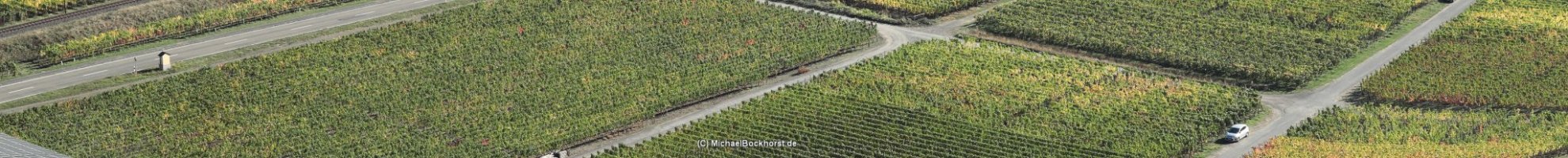 IMG_6090_center-strip.JPG IMG_6090_center-strip.JPG