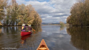 IMG_0681.jpg IMG_0681.jpg