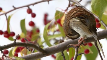 Bend and stretch_37058.JPG