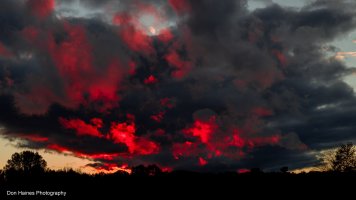 DH18-10-15_0685.jpg DH18-10-15_0685.jpg