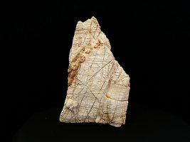 14mm, f5.6 normal focussing, more than MFD.JPG