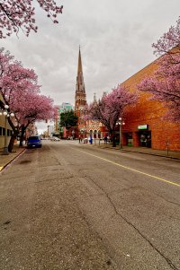 _MG_6954_DxO.jpg