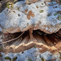 Reservoir 5 copy.jpg