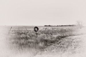 No Hunting! copy.jpg