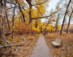 IMG_2740_edited-1 copy.jpg