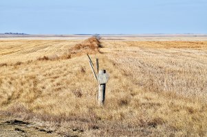 Old fence line copy.jpg