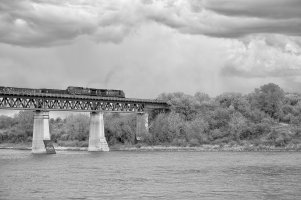 _DSF4501 copy-Edit copy.jpg