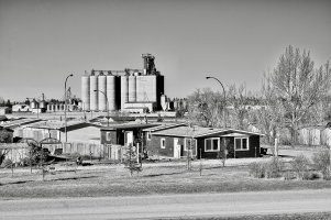 Trailer court copy.jpg