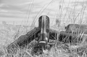 IMG_4703 copy copy.jpg