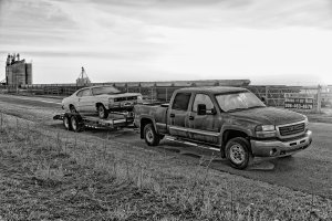 _MG_8575_DxO copy 2.jpg