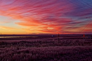 _MG_8558_DxO copy.jpg