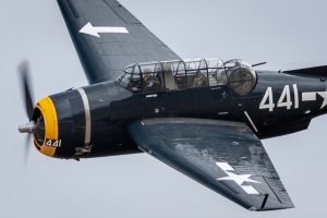 Warbirds Downunder 2stars (44 of 157).jpg